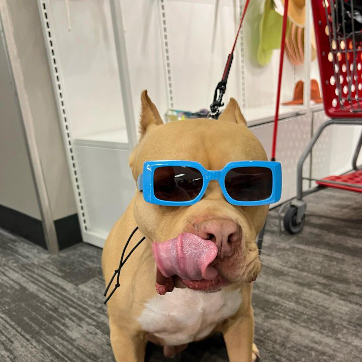 Women's Plastic Rectangle Sunglasses